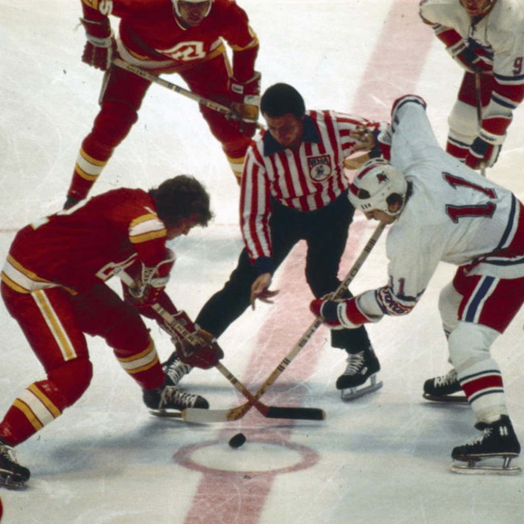 Birmingham Bulls game in 1976